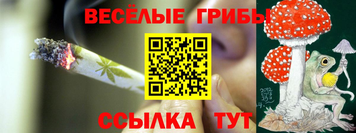 Галлюциногенные грибы мухоморы Миллерово